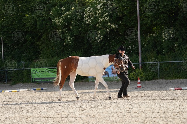 sA9K07207.JPG